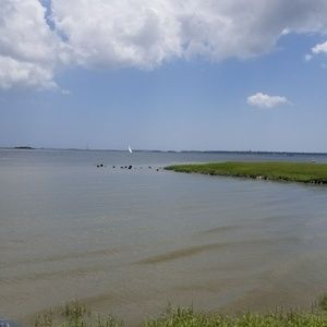 Meet your Posher, Flora